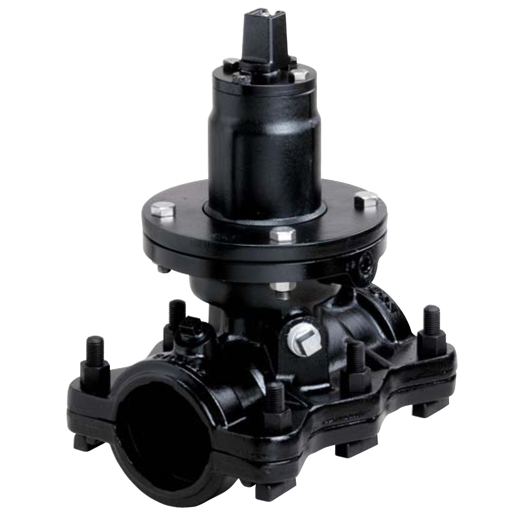 Plug 3 picture
